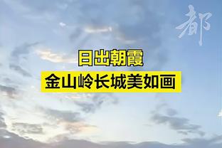 观众向场内大量投掷饮料瓶等杂物处理判定区别在于“重要伤害”